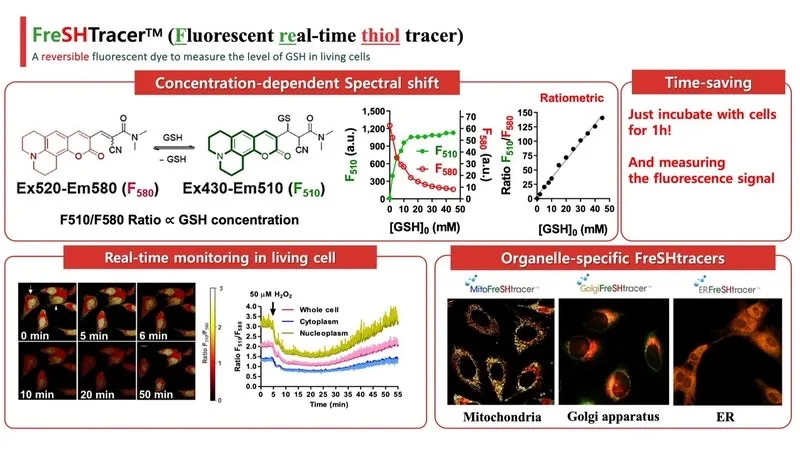 FreSHtracer method plate: the reversible dye structure with and without glutathione bound, the concentration-dependent spectral shift between Ex520-Em580 and Ex430-Em510, the linear relationship between the F510 over F580 ratio and glutathione concentration, real-time monitoring in living cells over 55 minutes, and organelle-specific variants for mitochondria, Golgi and endoplasmic reticulum.