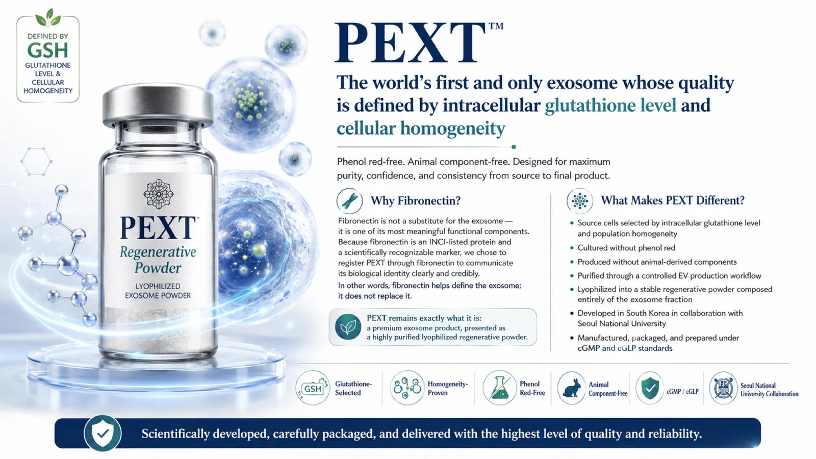PEXT Regenerative Powder vial, with the fibronectin rationale and the platform's distinguishing features: glutathione-selected source cells, phenol red-free and animal component-free culture, controlled EV production workflow, lyophilization, and Seoul National University collaboration.