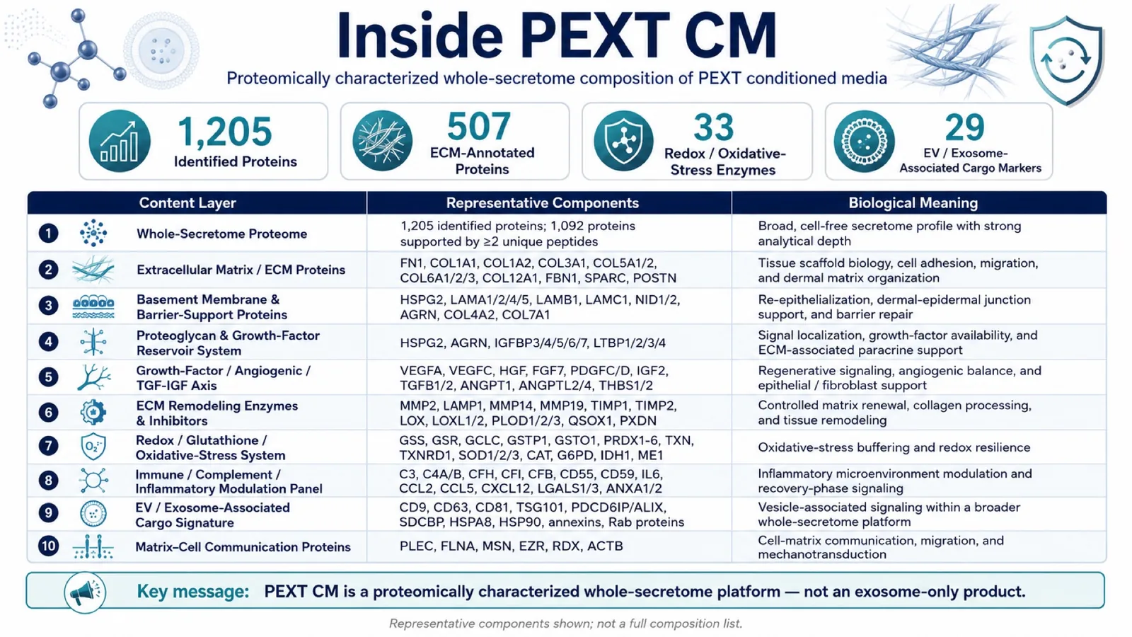 Inside PEXT CM: the proteomic signature summarized as 1,205 identified proteins, 507 ECM-annotated proteins, 33 redox enzymes and 29 EV cargo markers, with the ten content layers tabulated.